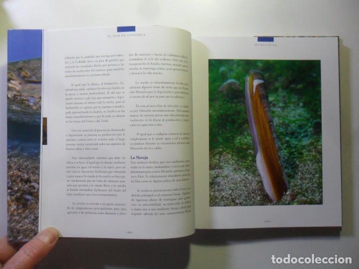 Libros: EL MAR EN CONSERVA - ED. FRINSA / EVEREST - 2011 - Foto 5