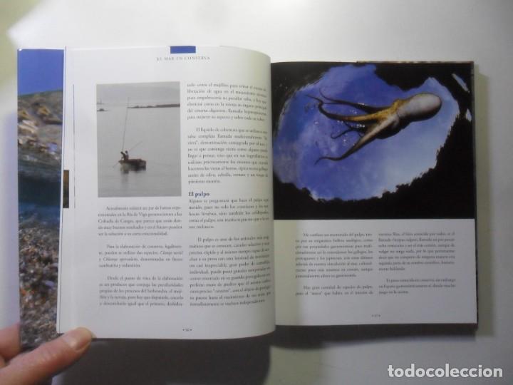 Libros: EL MAR EN CONSERVA - ED. FRINSA / EVEREST - 2011 - Foto 6