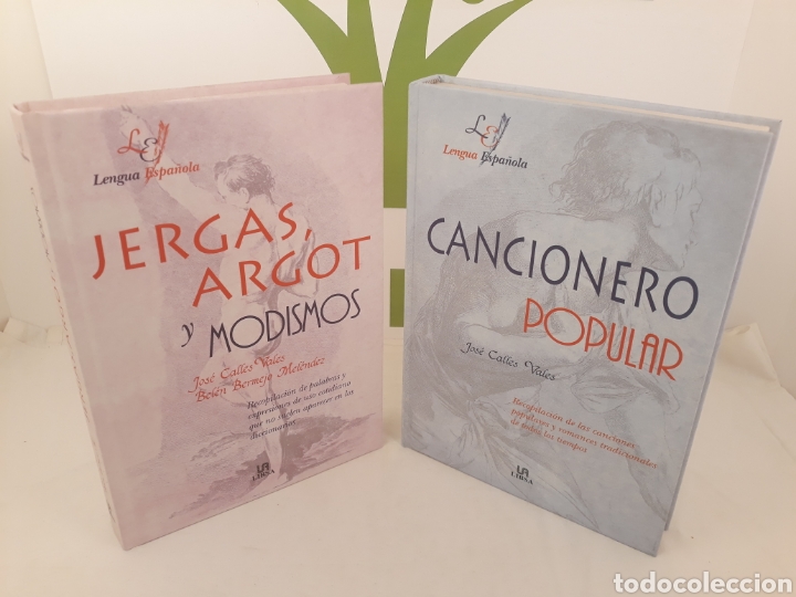 Libros: Cancionero popular. Jergas,Argot y modismos. LIBSA. - Foto 1