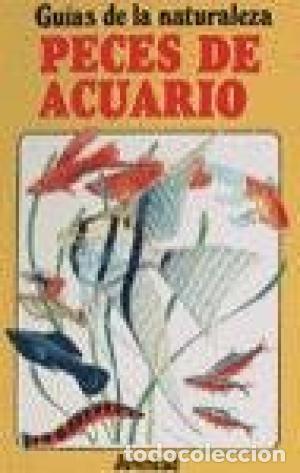 Libros: PECES DE ACUARIO - Ford,David - Foto 1