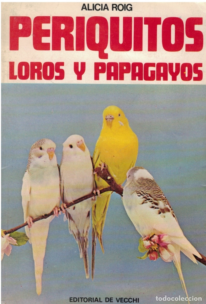 Libros: Periquitos, Loros y Papagayos - Alicia Roig - Foto 1