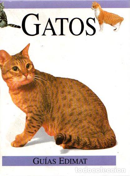 Libros: Gatos - Sevillano, Mar&iacute;a Jes&uacute;s - Foto 1