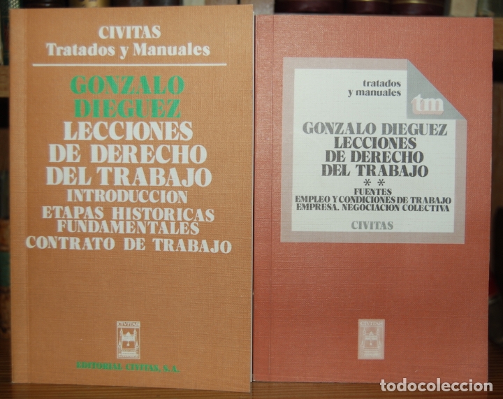 B&uuml;cher: LECCIONES DE DERECHO DEL TRABAJO. Introducci&oacute;n. Etapas hist&oacute;ricas fundamentales. Contrato de tr... -