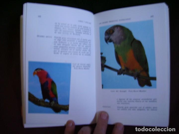 Libros: LOROS Y SIMILARES - Foto 2
