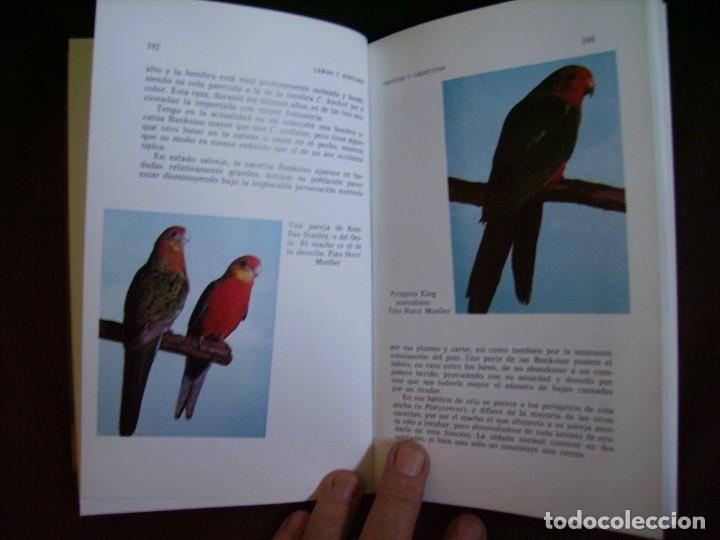 Libros: LOROS Y SIMILARES - Foto 3