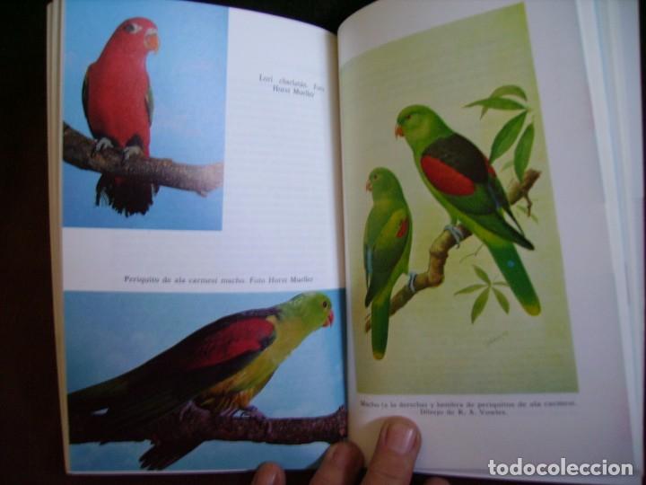 Libros: LOROS Y SIMILARES - Foto 5
