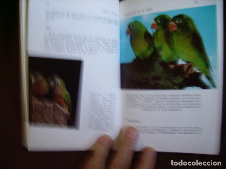 Libros: LOROS Y SIMILARES - Foto 6