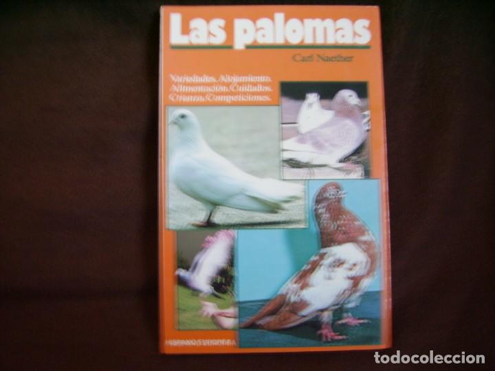 Libros: LAS PALOMAS - Foto 1