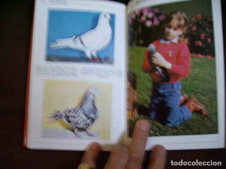 Libros: LAS PALOMAS - Foto 2