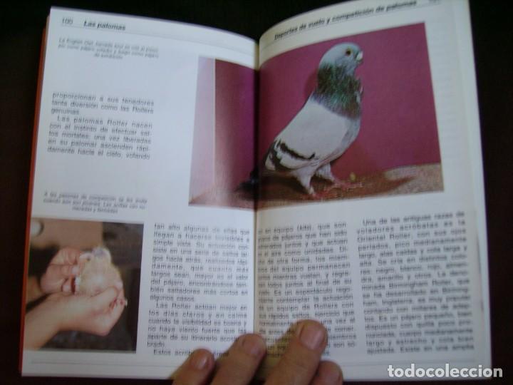 Libros: LAS PALOMAS - Foto 3