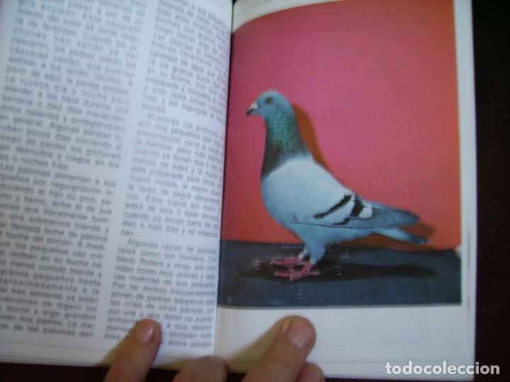 Libros: LAS PALOMAS - Foto 4