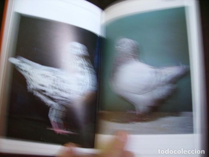 Libros: LAS PALOMAS - Foto 5