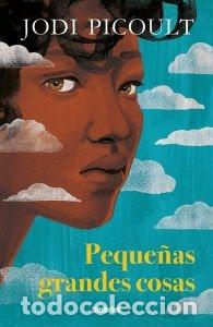 Libros: Peque&ntilde;as grandes cosas. Picoult, Jodi - Foto 1