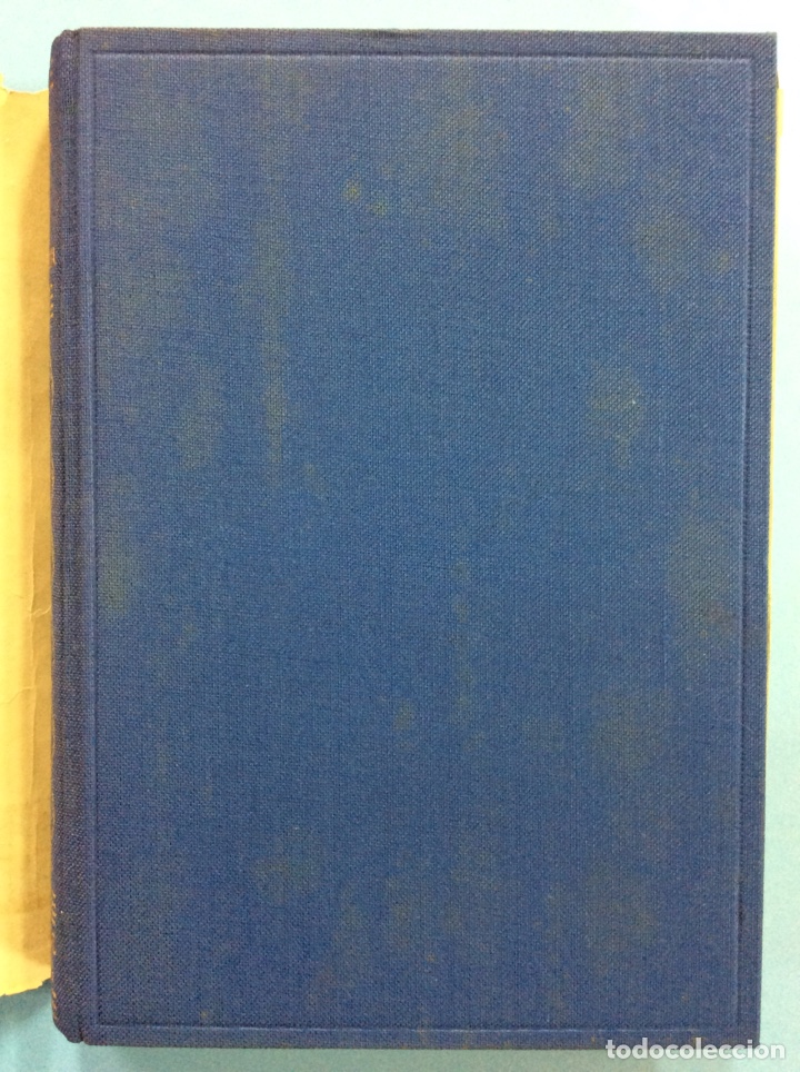 Libros: Una chica atolondrada - Joe Lederer - Foto 2