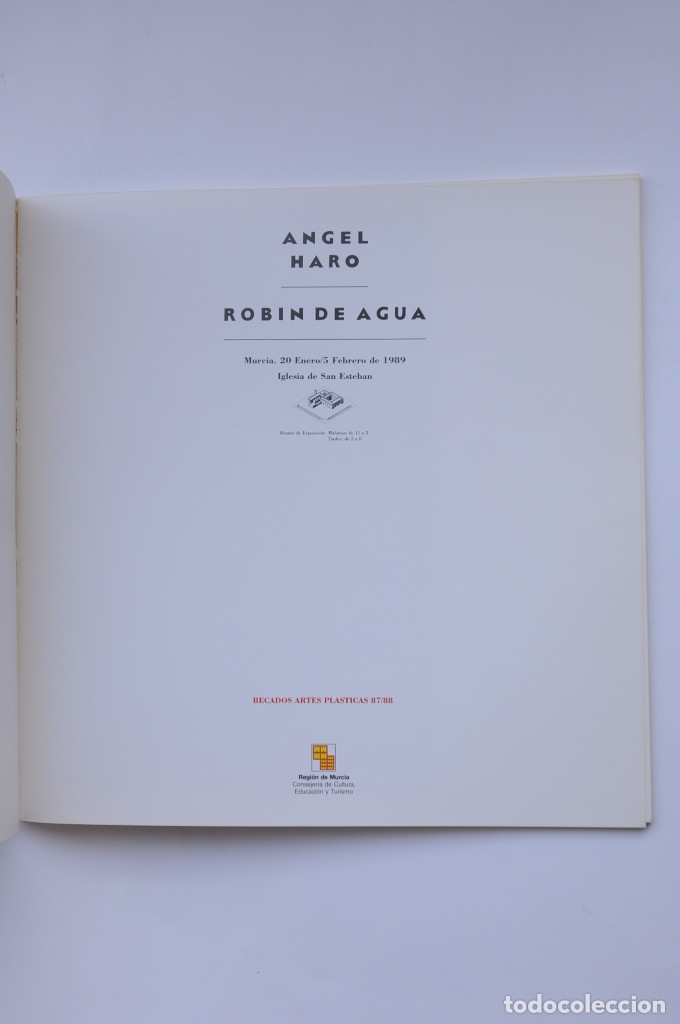 Libros: Angel Haro. Robin de agua - HARO, &Aacute;ngel - Foto 2
