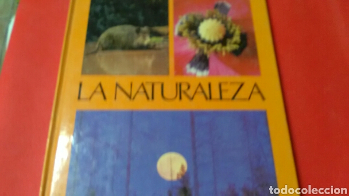 Libros: LA NATURALEZA .Max A. Wyss . Jaime Libros . - Foto 1
