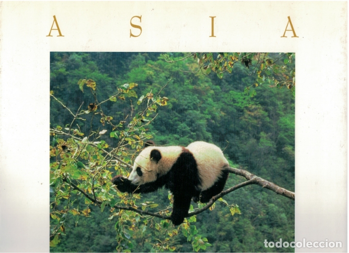 Livros em segunda m&atilde;o: Planeta Vivo: Asia - Jorge Bartolome e Isaac Vega