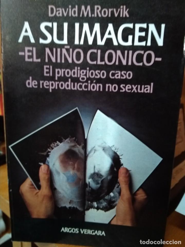 Libros: A su imagen, el ni&ntilde;o cl&oacute;nico, David M. Rorvik - Foto 1