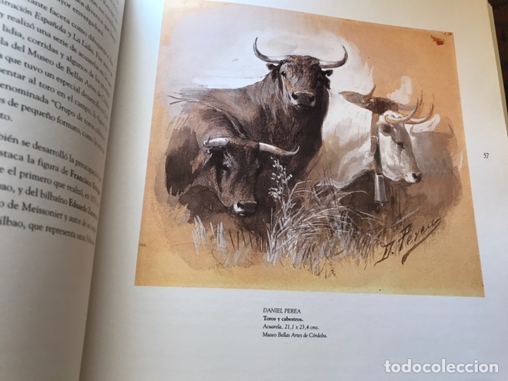 Libros: Suerte suprema. Exposici&oacute;n homenaje a Manolete. Como nuevo - Foto 5