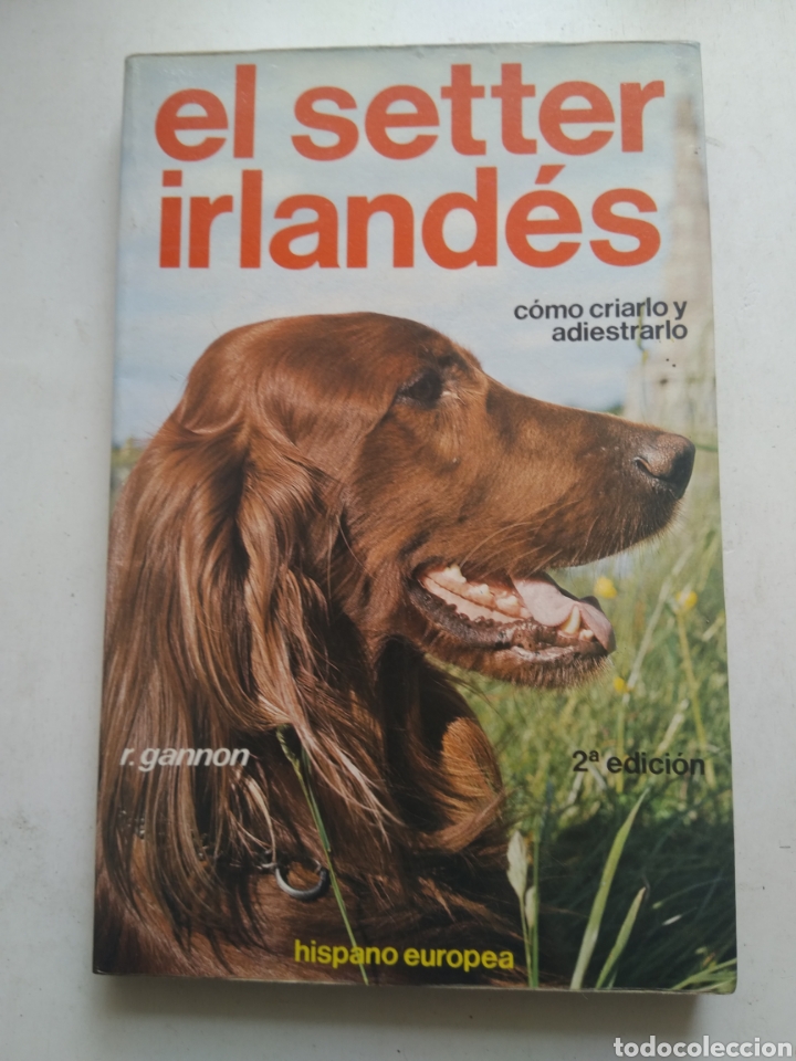 Libros: EL SETTER IRLANDES/R. GANNON - Foto 1