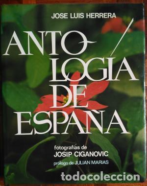 Libros: ANTOLOG&Iacute;A DE ESPA&Ntilde;A - Herrera,Jos&eacute; Luis - Foto 1