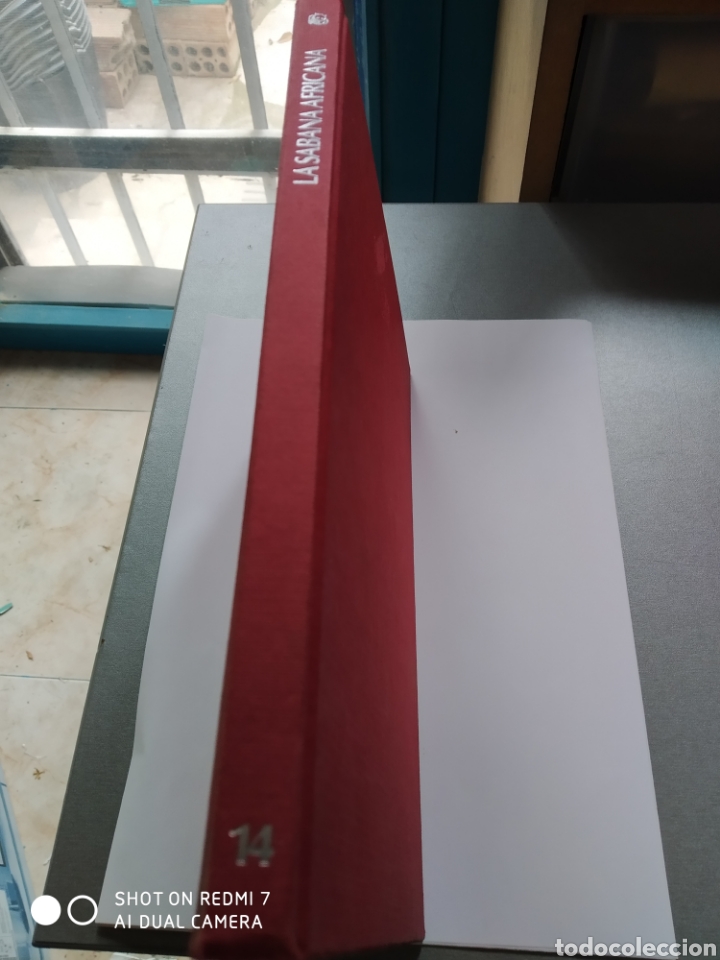 Libros: La sabana africana - Foto 1
