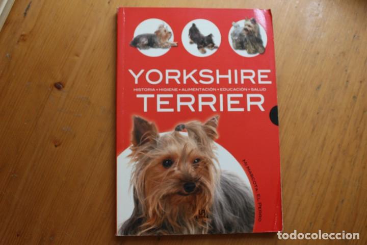 Libros: YORKSHIRE TERRIER EDITORIAL LIBSA - Foto 1