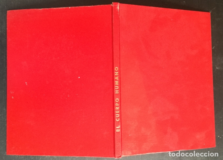 Libros: El cuerpo humano - OFERTAS DOCABO - Foto 1