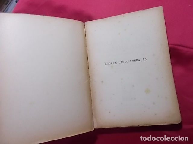 Libros: EROS EN LAS ALAMBRADAS. HANS OTTO HENEL EDITORIAL HELLOS. 1931 - Foto 2