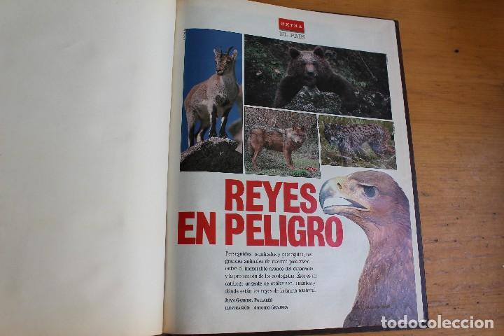 Libros: EXTRA EL PA&Iacute;S  ART&Iacute;CULOS EXTRAS DEL SUPLEMENTO DE LOS DOMINGOS - Foto 2