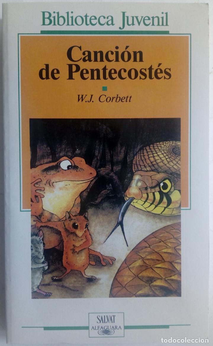 Libros: Canci&oacute;n de Pentecost&eacute;s - W.J. Corbett - Foto 1