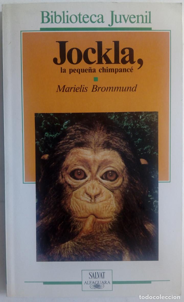Libros: Jockla, la peque&ntilde;a chimpanc&eacute; - Marielis Brommund - Foto 1