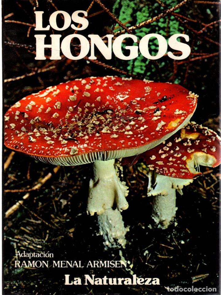 Libros: Los hongos - Seymour, Jacqueline - Foto 1