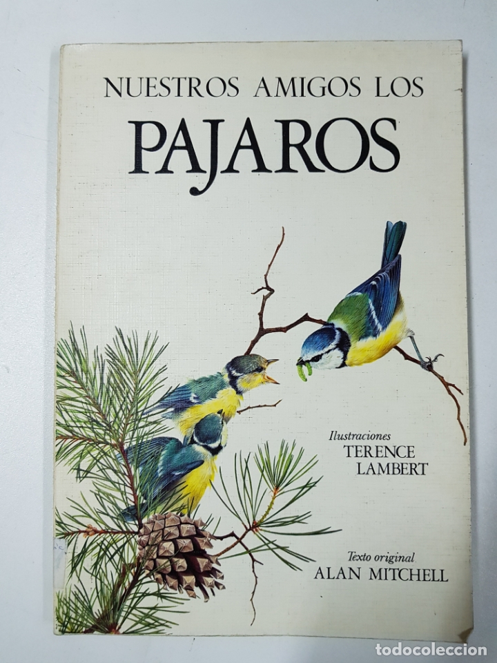 Libros: Nuestros amigos los p&aacute;jaros / Alan MItchell - Foto 1