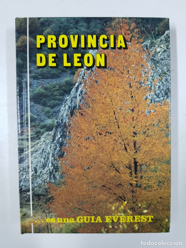 Libros: Provincia de Le&oacute;n / Luis Pastrana - Foto 1