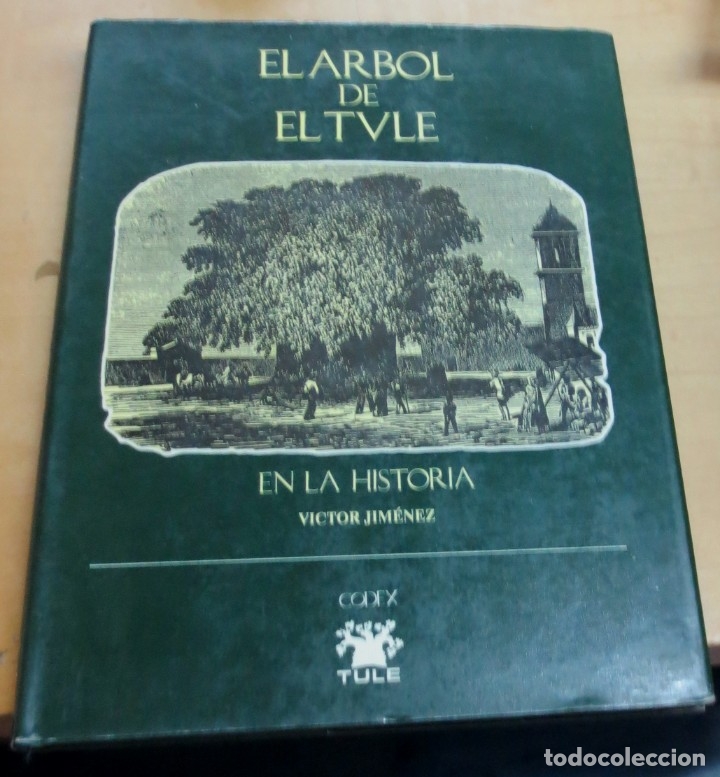 Libros: El &aacute;rbol de El Tule en la historia - JIM&Eacute;NEZ, V&Iacute;CTOR - Foto 1