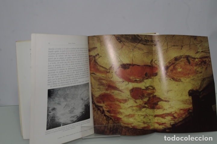 Libros: PIETSCH ERICH ALTAMIRA Y LA PREHISTORIA - Foto 1