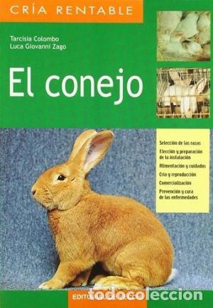 Libros: EL CONEJO - Colombo/Zago - Foto 1
