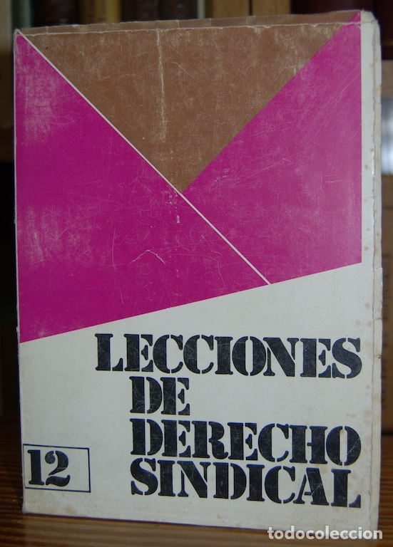 Libros: LECCIONES DE DERECHO SINDICAL - Foto 1