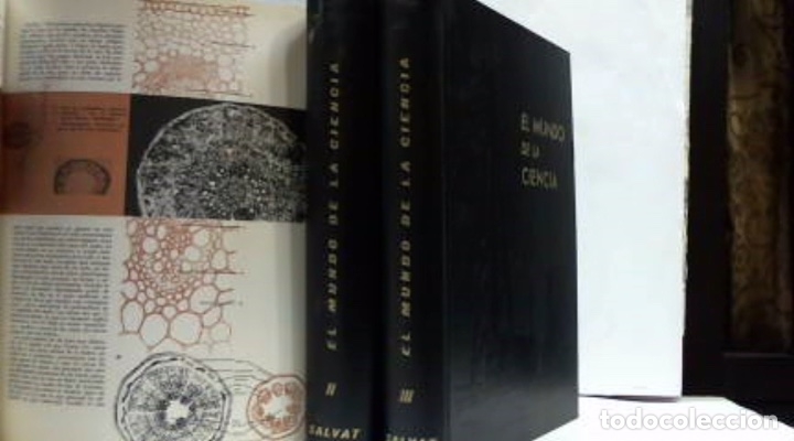 Libros: EL MUNDO DE LA CIENCIA - Foto 4