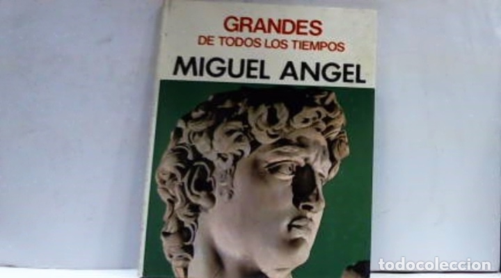 Libros: MIGUEL ANGEL - Foto 1