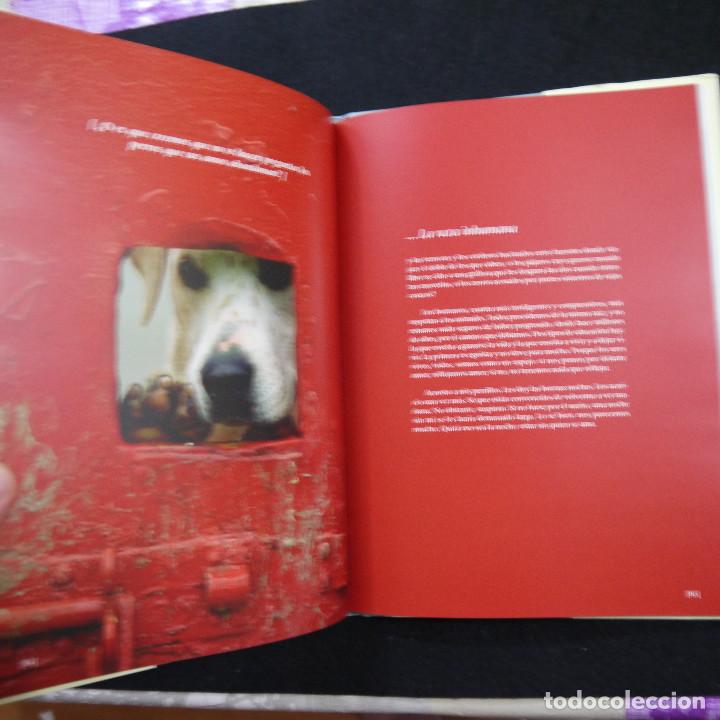 Libros: REFLEJOS DE UNA VIDA - ANTONIO GALA - 2004 - Foto 9