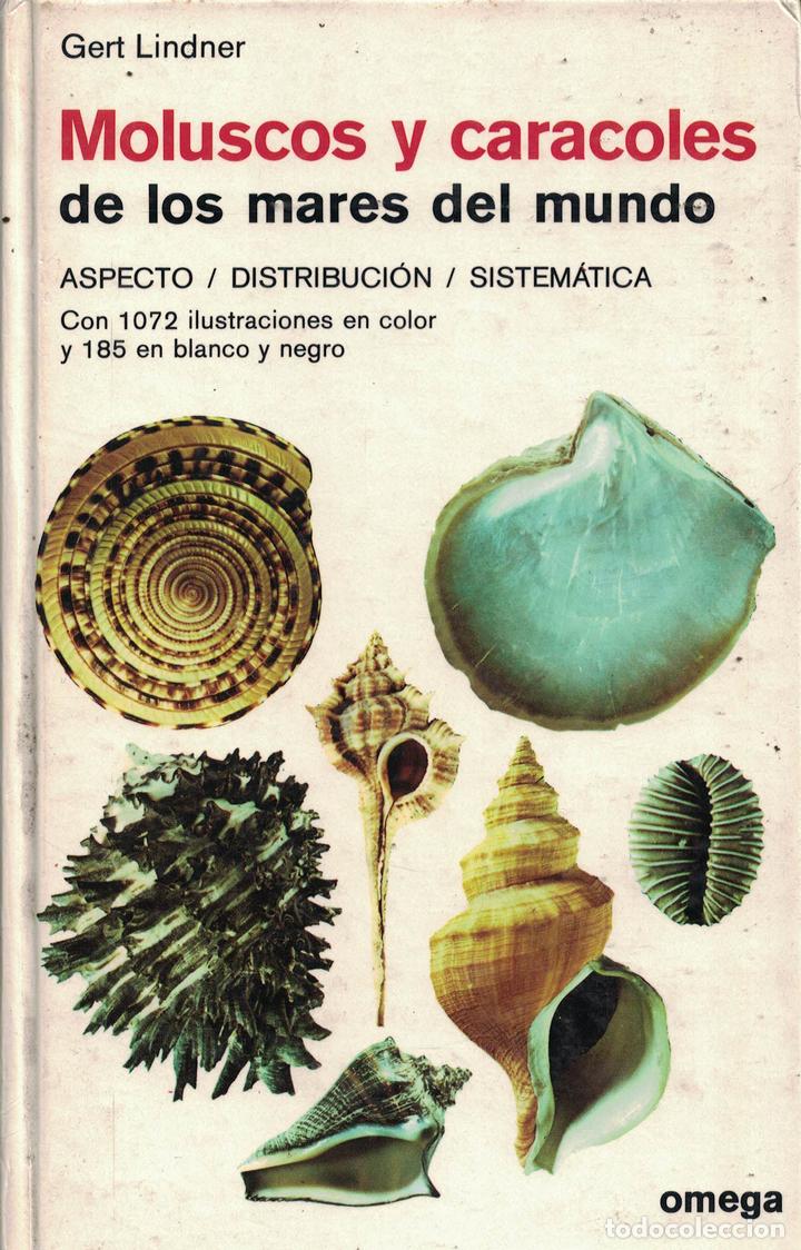 Libros: Moluscos y caracoles de los mares del mundo - Gert Lindner - Foto 1