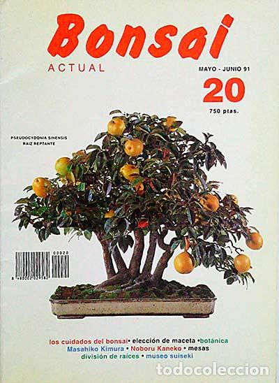 Libri di seconda mano: Revista Bonsai. Mayo-Junio 91. 20 - vvaa