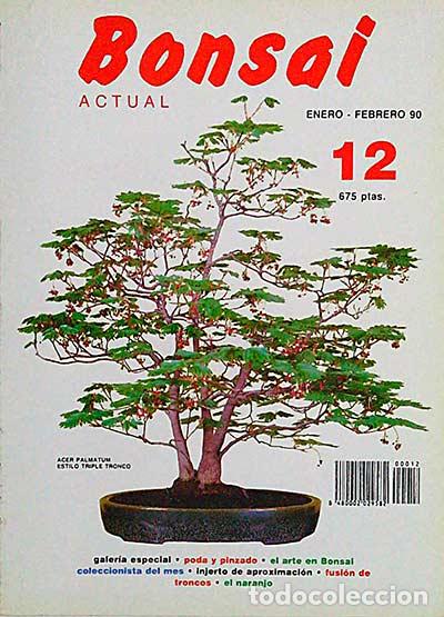 Libri di seconda mano: Revista Bonsai. Enero-Febrero 90. 12 - vvaa