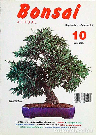 Libri di seconda mano: Revista Bonsai. Septiembre-Octubre 89. 10 - vvaa