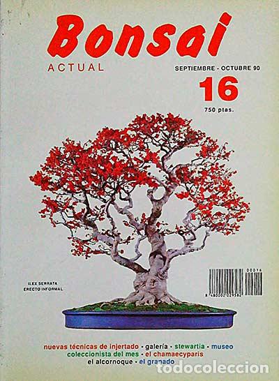 Libri di seconda mano: Revista Bonsai. Septiembre-Octubre 90. 16 - vvaa