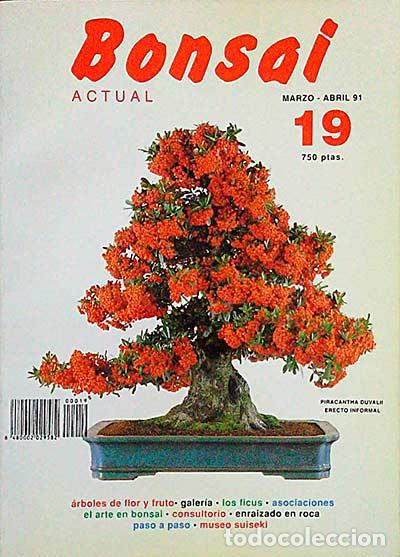 Revista Bonsai. Marzo-Abril 91 - vvaa