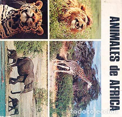 Libros: Animales de &Aacute;frica - Varios - Foto 1