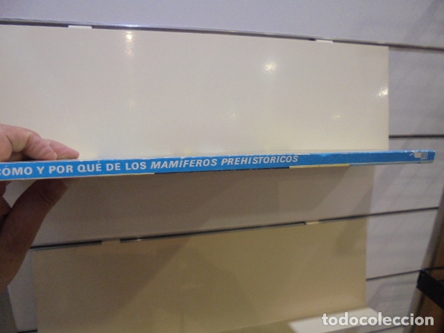 Libros: COMO Y POR QUE DE LOS MAMIFEROS PREHISTORICOS - EDITORIAL MOLINO - - Foto 3